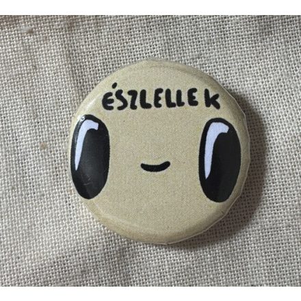 ÉSZLELLEK KITŰZŐ