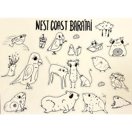 NEST COAST BARÁTAI MATRICAÍV