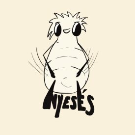 NYESÉS MATRICA