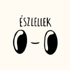 ÉSZLELLEK PÓLÓ