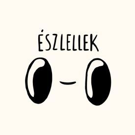 ÉSZLELLEK PÓLÓ