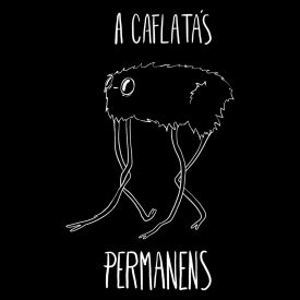 A CAFLATÁS PERMANENS PÓLÓ